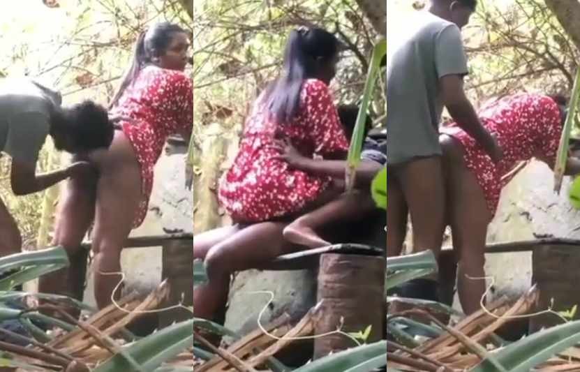 Watch Gf Fucking In Jungle XXX Sex Video Porn